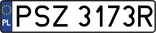 PSZ3173R
