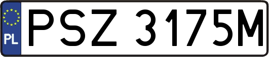 PSZ3175M