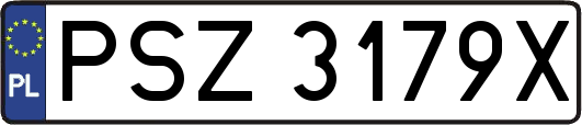 PSZ3179X