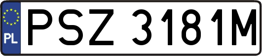 PSZ3181M