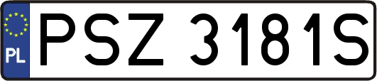 PSZ3181S