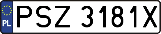 PSZ3181X
