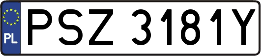 PSZ3181Y