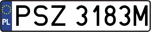 PSZ3183M