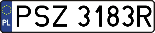 PSZ3183R