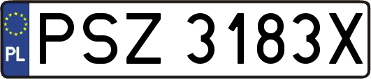 PSZ3183X