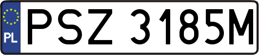 PSZ3185M