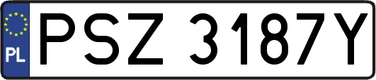 PSZ3187Y