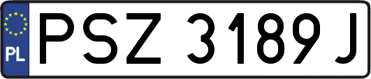 PSZ3189J