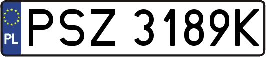 PSZ3189K