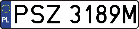 PSZ3189M