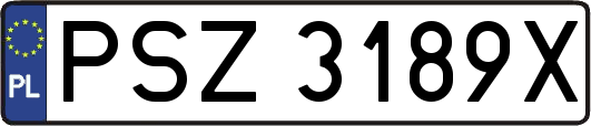 PSZ3189X