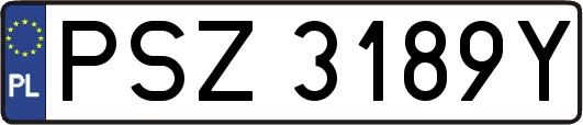 PSZ3189Y