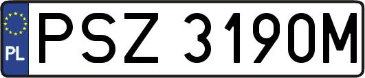 PSZ3190M