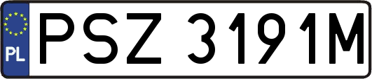 PSZ3191M