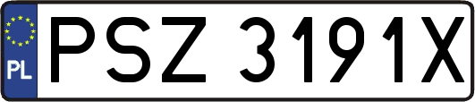 PSZ3191X