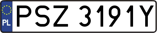 PSZ3191Y