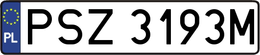 PSZ3193M