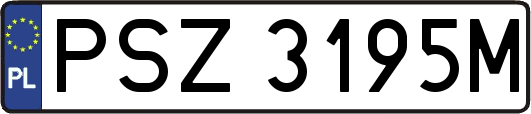 PSZ3195M