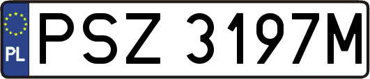 PSZ3197M