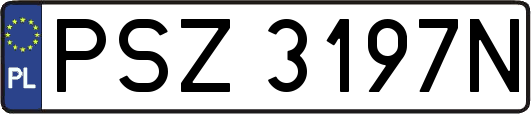 PSZ3197N