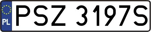 PSZ3197S