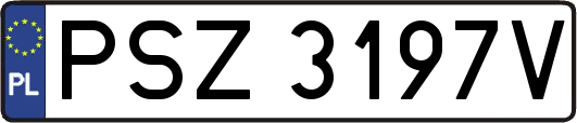 PSZ3197V