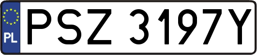 PSZ3197Y