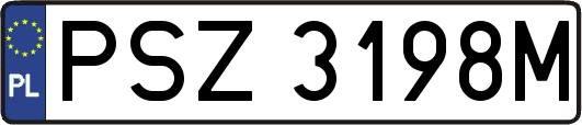 PSZ3198M