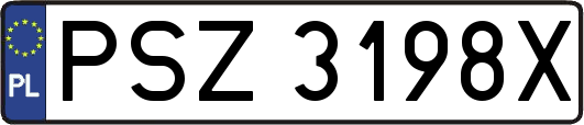 PSZ3198X