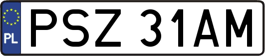 PSZ31AM