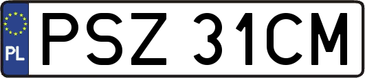 PSZ31CM