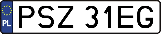 PSZ31EG