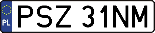 PSZ31NM