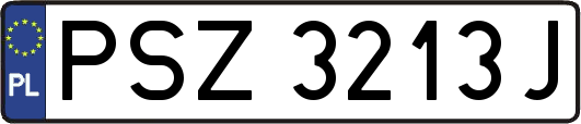 PSZ3213J