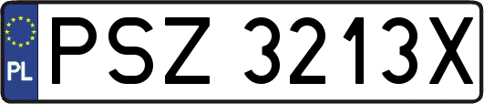 PSZ3213X