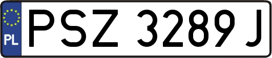 PSZ3289J