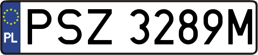 PSZ3289M
