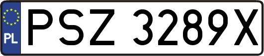 PSZ3289X