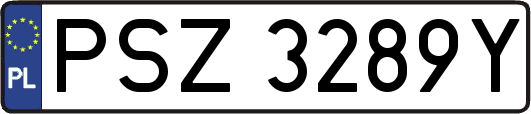 PSZ3289Y