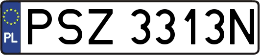 PSZ3313N