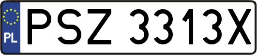 PSZ3313X
