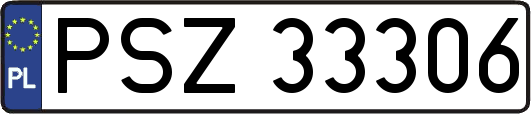 PSZ33306