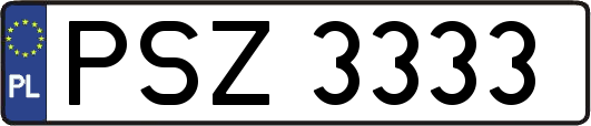 PSZ3333