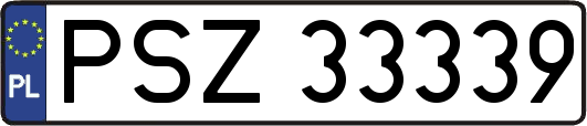PSZ33339