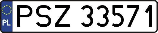 PSZ33571