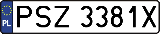 PSZ3381X