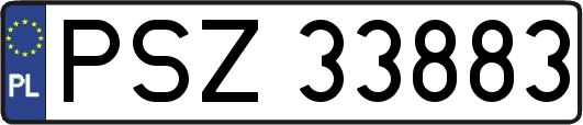 PSZ33883