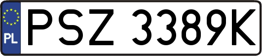 PSZ3389K