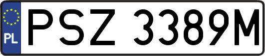 PSZ3389M